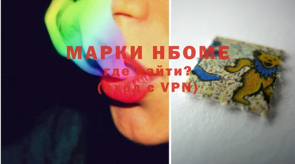 ГАЛЛЮЦИНОГЕННЫЕ ГРИБЫ Инсар