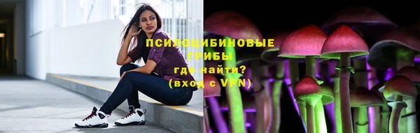 МДПВ Алзамай