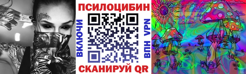 Псилоцибиновые грибы Psilocybine cubensis Николаевск-на-Амуре