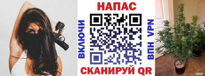закладка  Николаевск-на-Амуре  Бошки Шишки White Widow 
